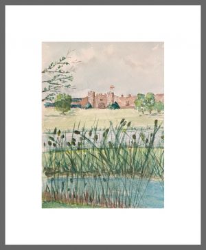 anne colman web