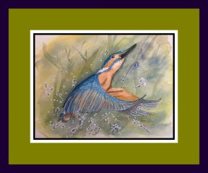 anne colman web9