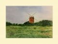 carol image 01