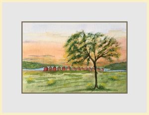 carol wellman web5