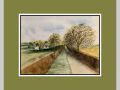 carol wellman web6