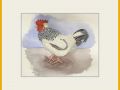 Anne Colman Web