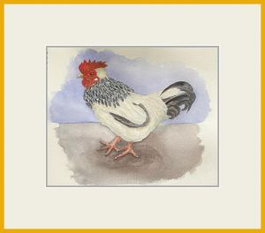 Anne Colman Web