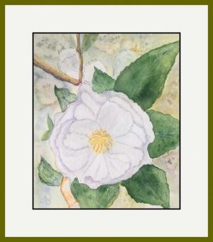 Carol Wellman web4