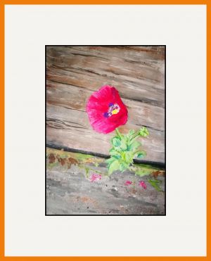 Christine Bessant Web4