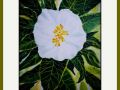 Christine Bessant Web6