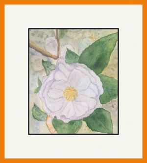 Gordon Colman Web5