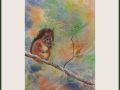 Anne Colman web7