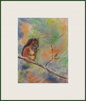 Anne Colman web7