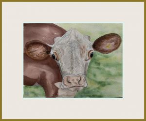 Anne Colman web9