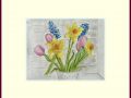 anne colman web8