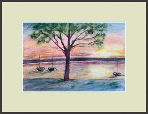 carol wellman web5