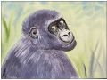 gordon colman web7
