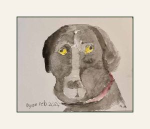 dog web