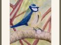 joy sherriff blue tit web