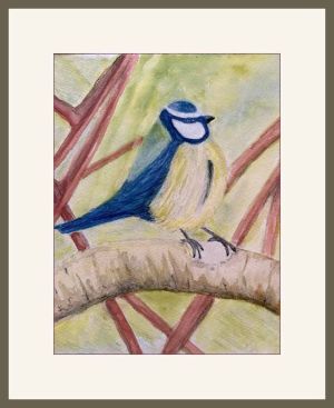 joy sherriff blue tit web