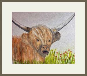 joy sherriff highland cow web
