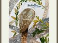 joy sherriff kookaburra web