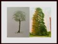 joy trees web