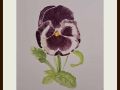 marian pansy web
