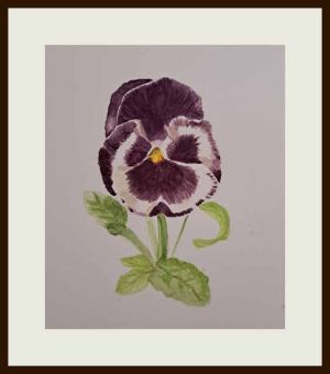 marian pansy web