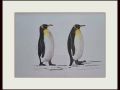 marian penguins web