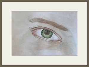 pam aliband eye study web