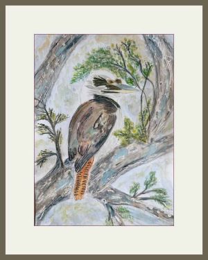 pam aliband kookaburra web