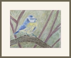 pam alliband blue tit web
