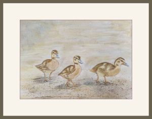 pam alliband ducklings web