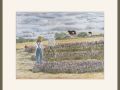 pam alliband lavender fields web