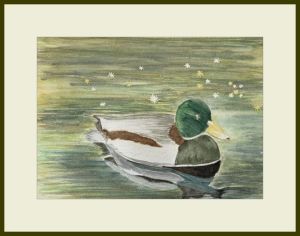 pam mallard web