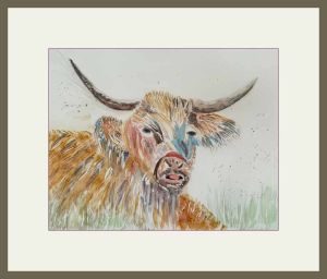 pam.highland cow web