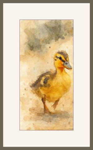 pragati duckings web