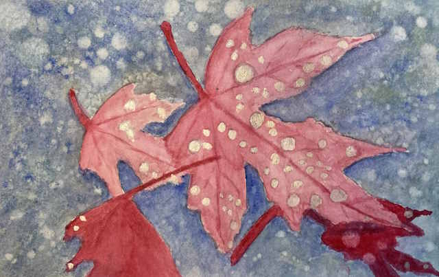 Fallen Leaf